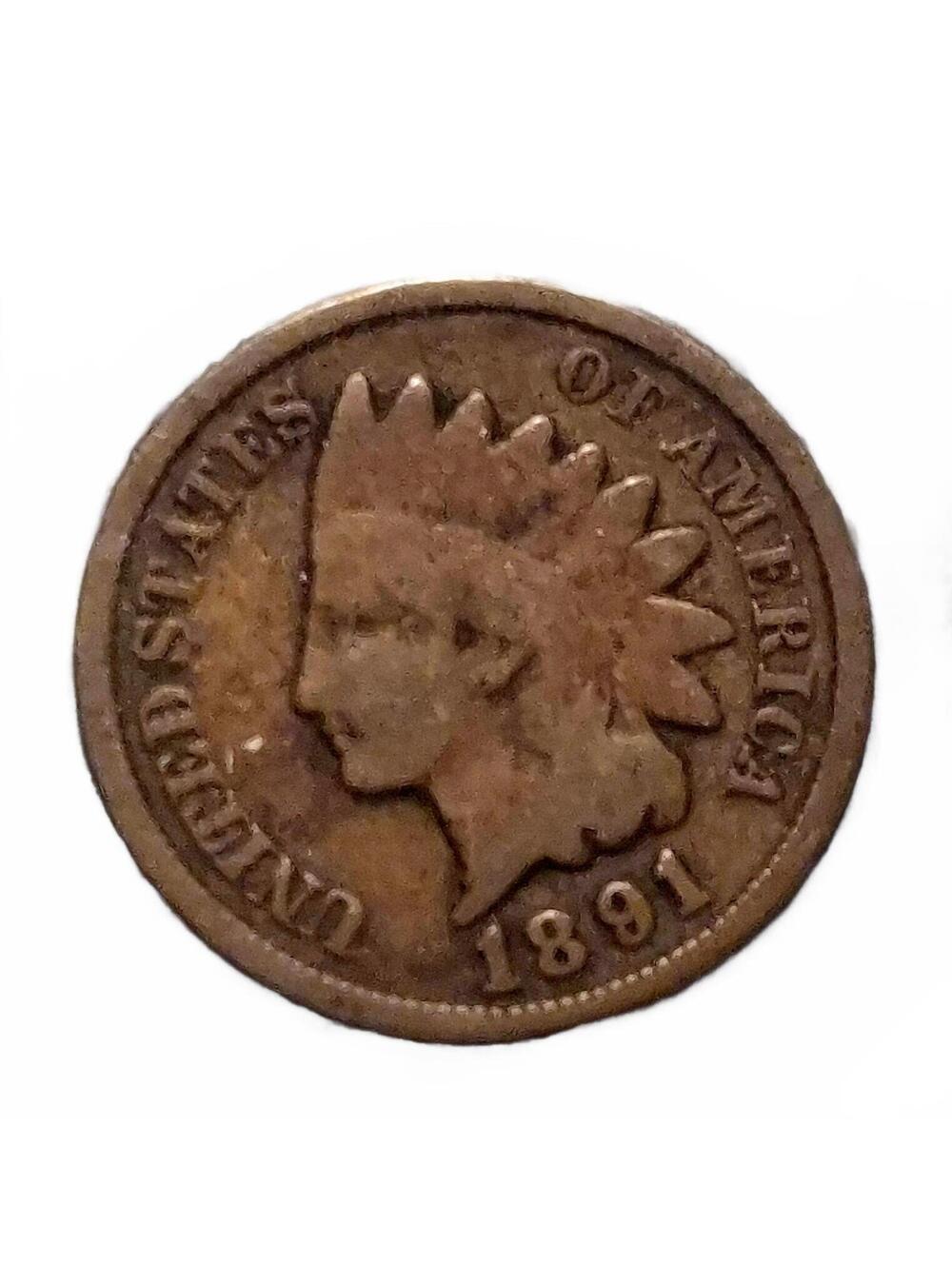 1891 Indian Head Penny #234